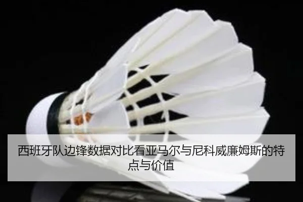 西班牙队边锋数据对比看亚马尔与尼科威廉姆斯的特点与价值